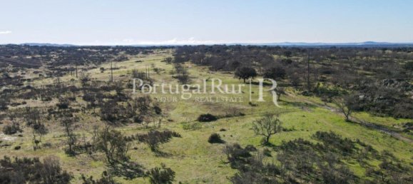 4 bedrooms Castles in Portalegre, Portugal No. 129910 42