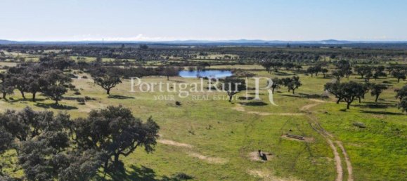 4 bedrooms Castles in Portalegre, Portugal No. 129910 48