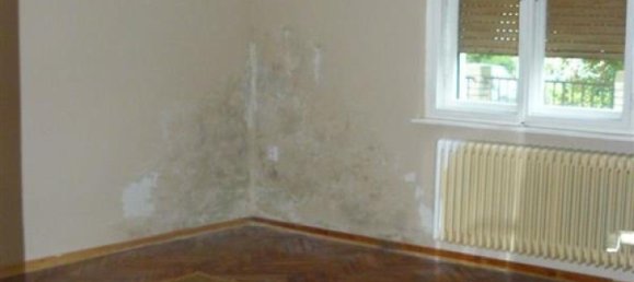 Escritório T3 em Jako, Hungary N.º 24 10