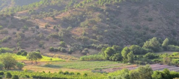 6480m² Land in Odeleite, Portugal No. 53738 6