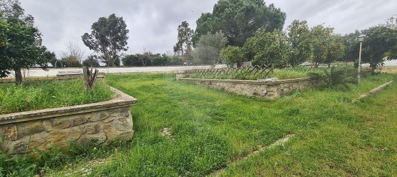 1 bedroom House in Evora, Portugal No. 68455 19