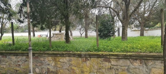 1 bedroom House in Evora, Portugal No. 68455 22