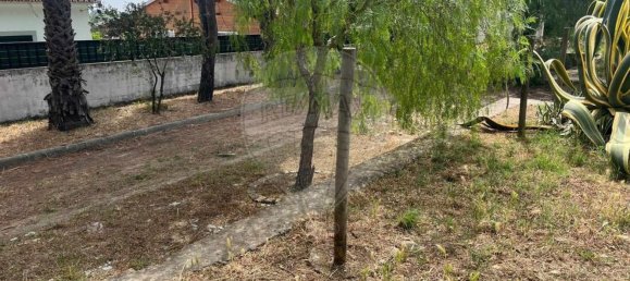 1 bedroom House in Evora, Portugal No. 68455 10