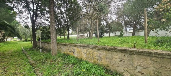 1 bedroom House in Evora, Portugal No. 68455 38