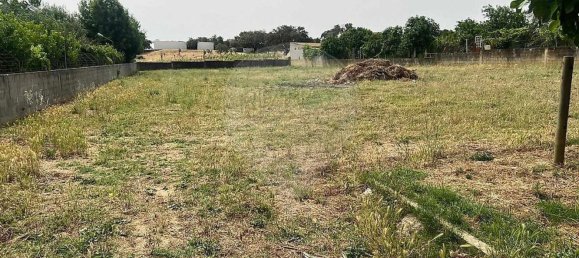 1 bedroom House in Evora, Portugal No. 68455 5