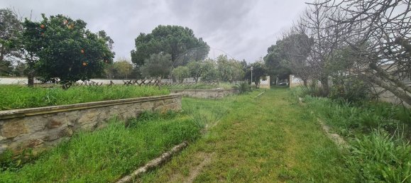 1 bedroom House in Evora, Portugal No. 68455 27