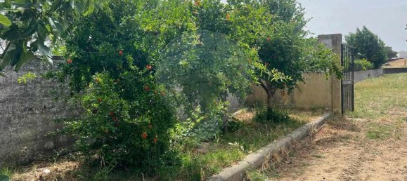 1 bedroom House in Evora, Portugal No. 68455 3