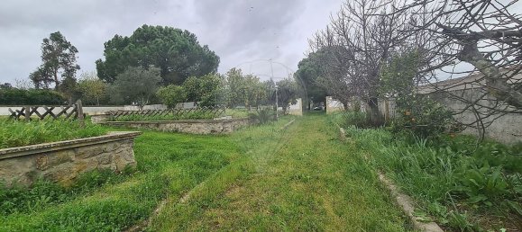 1 bedroom House in Evora, Portugal No. 68455 24