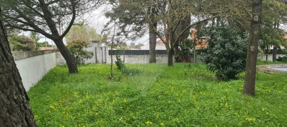 1 bedroom House in Evora, Portugal No. 68455 30