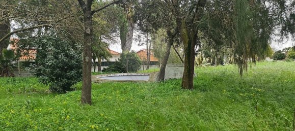 1 bedroom House in Evora, Portugal No. 68455 29