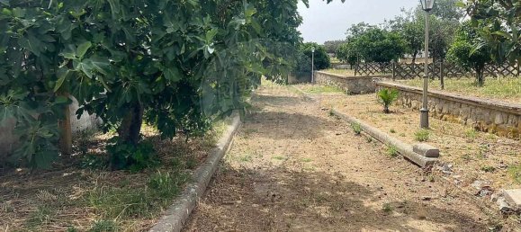 1 bedroom House in Evora, Portugal No. 68455 13