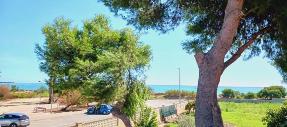 Terrain à Castellon, Spain 300m² No. 100354 3