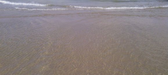 Terrain à Castellon, Spain 300m² No. 100354 13