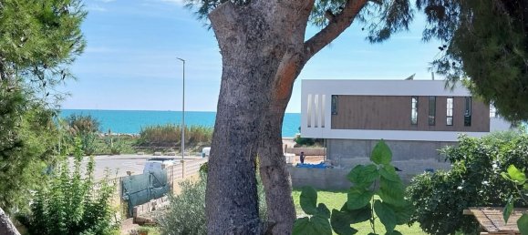 Terrain à Castellon, Spain 300m² No. 100354 7