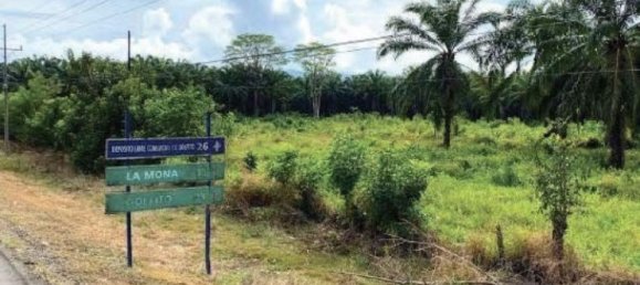 Terrain à Golfito, Costa Rica No. 1916 5