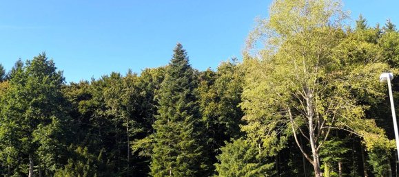 Adosado de 4 dormitorios en Ostalbkreis, Germany No. 249374 5