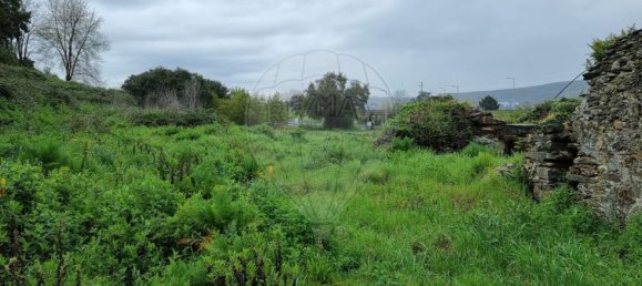 3983m² Land in Valongo, Portugal No. 63477 2