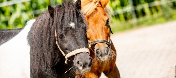 Casa de 6 dormitorios en Osnabruck, Germany No. 331251 12