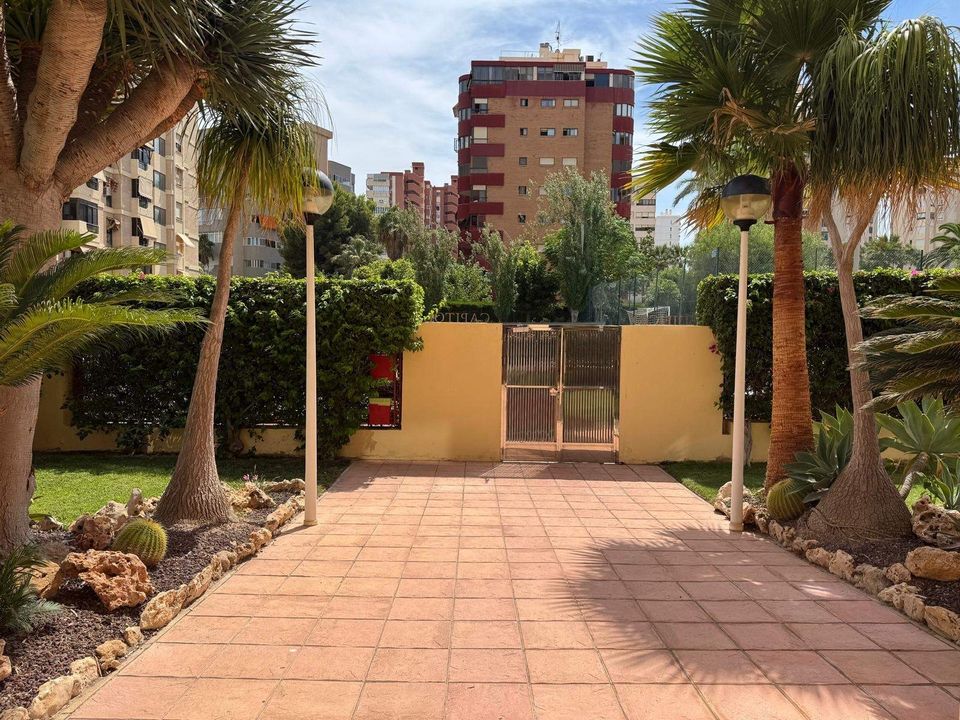 3 chambres Penthouse à Alicante, Spain No. 246404