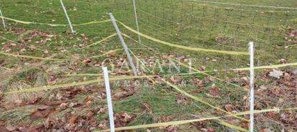 3 Schlafzimmer Haus in Hof, Germany, Nr. 119888 12