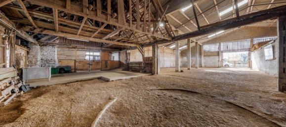 Commercial property in Grossdietmanns, Austria No. 135162 3