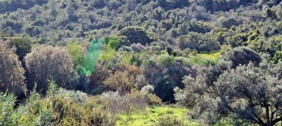 61600m² Land in Lagos, Portugal No. 37456 12