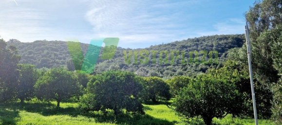 61600m² Land in Lagos, Portugal No. 37456 9