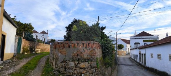 1 Schlafzimmer Villa in Paialvo, Portugal, Nr. 30452 13