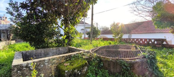 1 Schlafzimmer Villa in Paialvo, Portugal, Nr. 30452 14