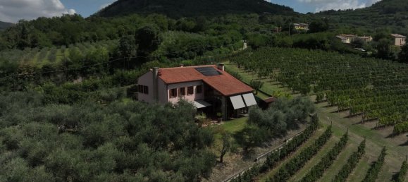 3 bedrooms Villa in Cinto Euganeo, Italy No. 345811 3