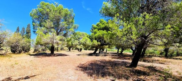 6 bedrooms House in La Palme, France No. 315508 4