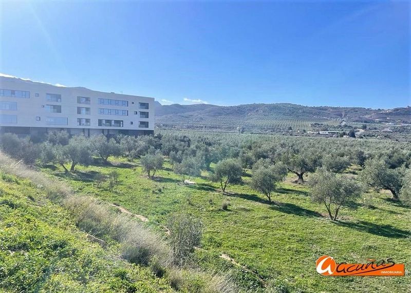  قطعة أرض في Antequera, Spain 5469متر مربع رقم 222944