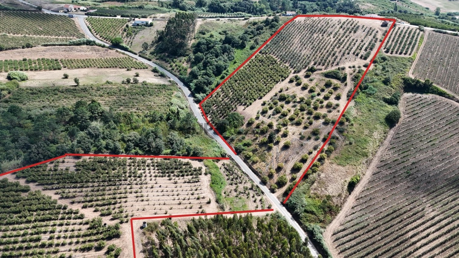  Land in Caldas da Rainha, Portugal No. 289163