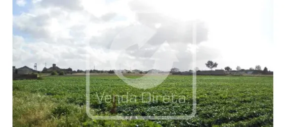 قطعة أرض في Montijo, Portugal رقم 43550 2