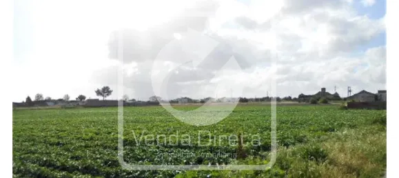 قطعة أرض في Montijo, Portugal رقم 43550 4