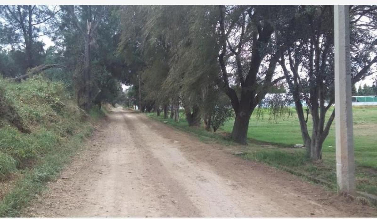 Terreno em Texcoco de Mora, Mexico N.º 203687