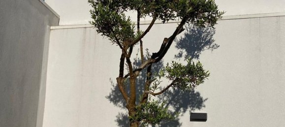 2 bedrooms House in Aguas Santas, Portugal No. 79349 14