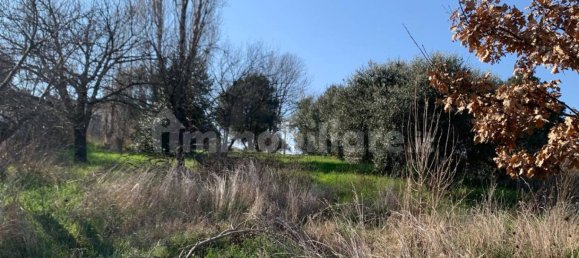 6250m² Land in Gallicano nel Lazio, Italy No. 377280 7