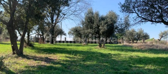 6250m² Land in Gallicano nel Lazio, Italy No. 377280 3