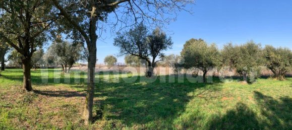 6250m² Land in Gallicano nel Lazio, Italy No. 377280 5