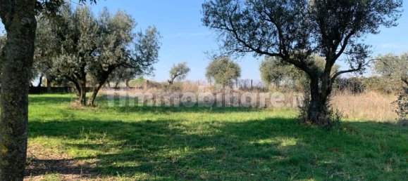 6250m² Land in Gallicano nel Lazio, Italy No. 377280 8