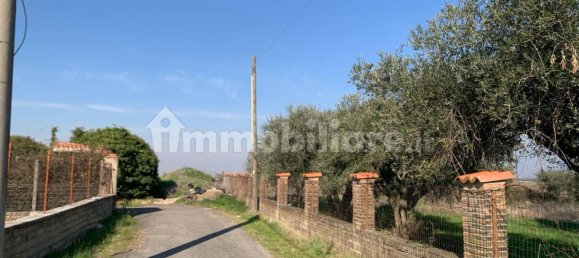 6250m² Land in Gallicano nel Lazio, Italy No. 377280 2