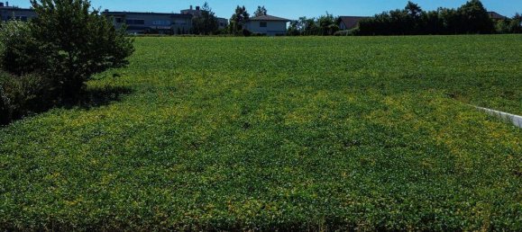 Terreno en Leonding, Austria 733 m² No. 223695 5