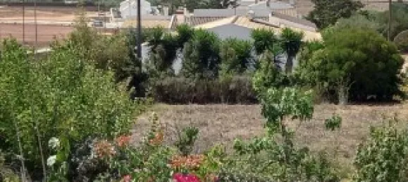 Land in Vila do Bispo, Portugal No. 279449 7