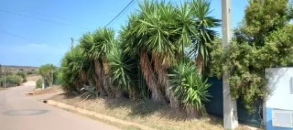 Land in Vila do Bispo, Portugal No. 279449 6