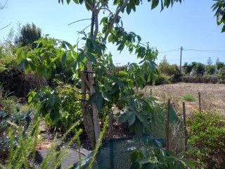 Grundstück in Vila do Bispo, Portugal, Nr. 279449