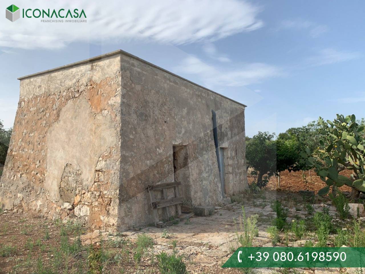 1 room Warehouse in Castellana Grotte, Italy No. 31191