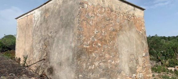 1 room Warehouse in Castellana Grotte, Italy No. 31191 3