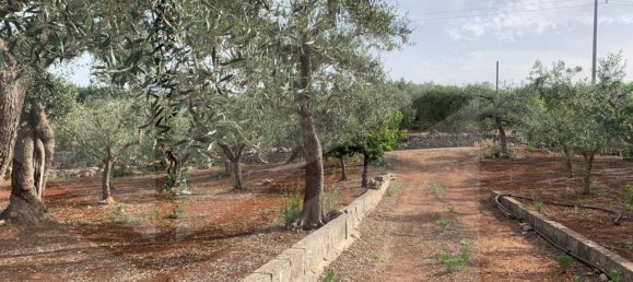 1 room Warehouse in Castellana Grotte, Italy No. 31191 4