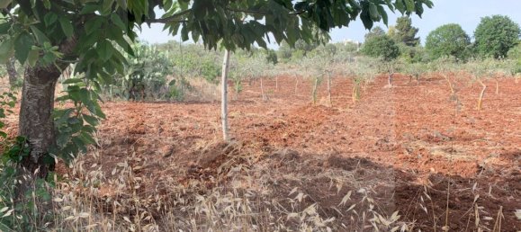 1 room Warehouse in Castellana Grotte, Italy No. 31191 15